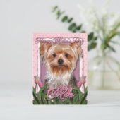 Carte Postale Fête des mères - Tulipes roses - Yorkshire Terrier (Debout devant)