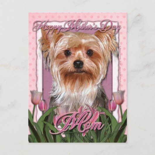 Carte Postale Fête des mères - Tulipes roses - Yorkshire Terrier (Devant)