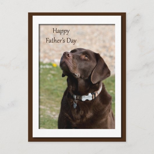 Carte Postale Fête des pères Chocolat Brown Labrador Chien (Devant)