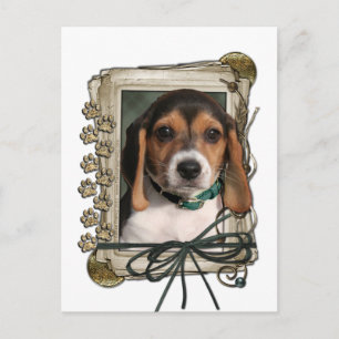 Carte Postale Fête des Pères - Stone Paws - Chiot Beagle