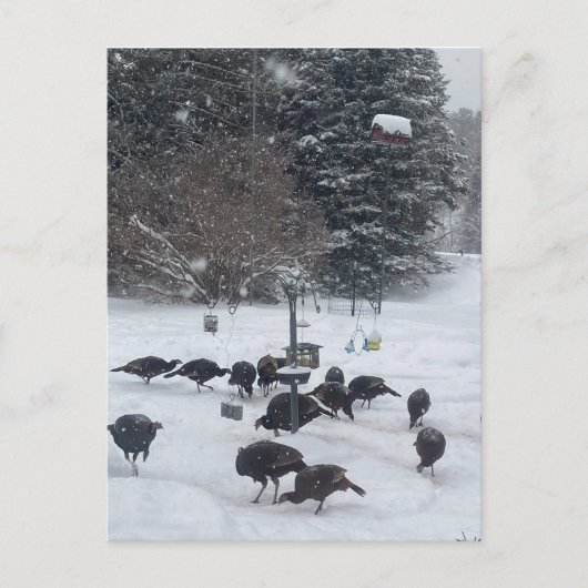 Carte Postale Fête d'hiver PC rassemblement réunion rencontre am (Devant)