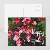 Carte postale Fête d'indépendance Rose #1 (Devant / Derrière)