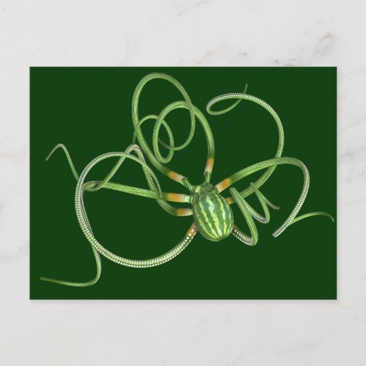 Carte Postale Fête nationale de la pastèque (Devant)