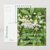 Carte Postale Fête printanière florale (Devant / Derrière)