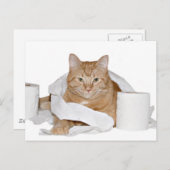 Carte Postale fête sauvage (Devant / Derrière)