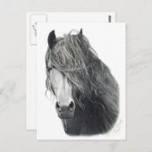 Carte Postale Feu (Devant / Derrière)