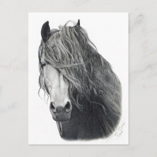 Carte Postale Feu (Devant)