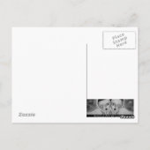 Carte Postale Feu angélique (Dos)