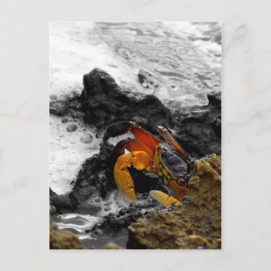 Carte Postale Feu dans la mer (Devant)