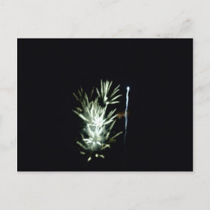 Carte Postale Feu d'artifice ! 4 juillet