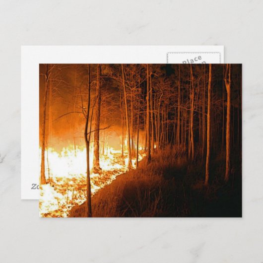 Carte Postale Feu de feu (Devant / Derrière)