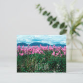 Carte Postale Feu d'herbe sur l'île Baker, Acadia, Parc national (Debout devant)