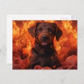 Carte Postale Feu Fleuri (Devant / Derrière)