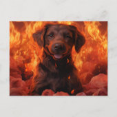 Carte Postale Feu Fleuri (Devant)