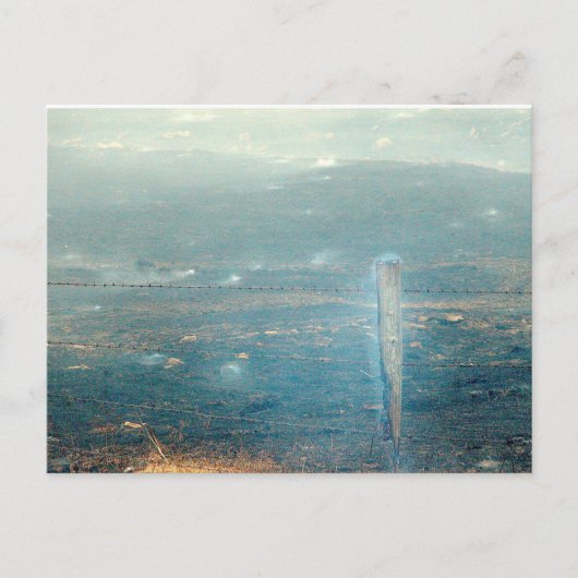 Carte Postale Feu sauvage (Devant)