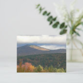 Carte Postale Feuillage À Stowe Vermont (Debout devant)