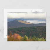 Carte Postale Feuillage À Stowe Vermont (Devant / Derrière)