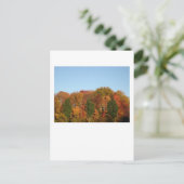 Carte Postale Feuillage d'automne (Debout devant)