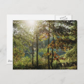 Carte Postale Feuillage d'automne (Devant / Derrière)