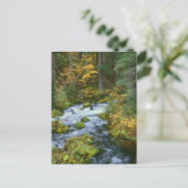 Carte Postale Feuillage d'automne & bordure de sapin de Douglas (Debout devant)