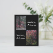 Carte Postale Feuillage d'automne en fleur, Sedona Arizona (Debout devant)