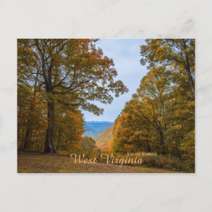 Carte Postale Feuillage d'automne sauvage et merveilleux de Virg
