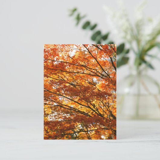 Carte Postale Feuillage d'érable (Debout devant)