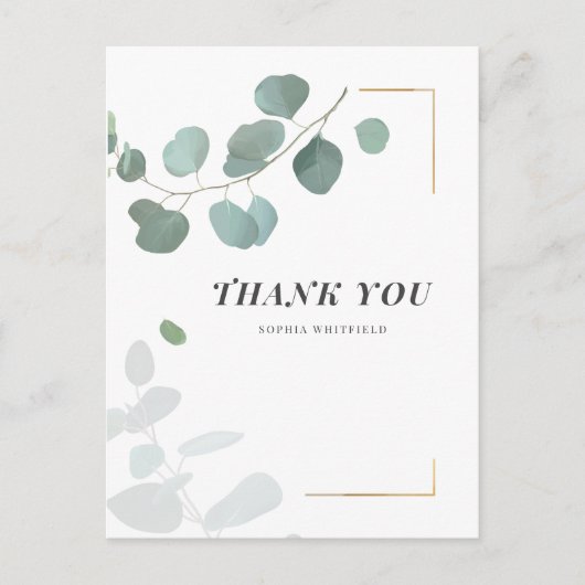 Carte Postale Feuillage d'eucalyptus Succulents Cadre doré (Devant)
