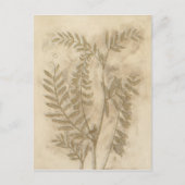 Carte Postale Feuillage doré I (Devant)