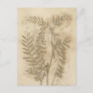 Carte Postale Feuillage doré I