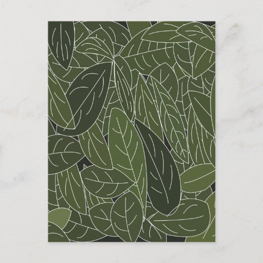 Carte Postale Feuillage Feuille vert (Devant)