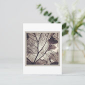 Carte Postale feuillage noir et blanc Abstrait (Debout devant)