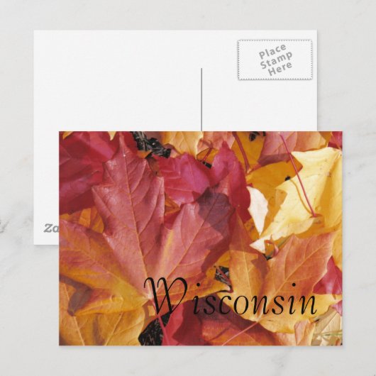 Carte Postale Feuille (Devant / Derrière)