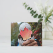 Carte postale Feuille automne (Debout devant)