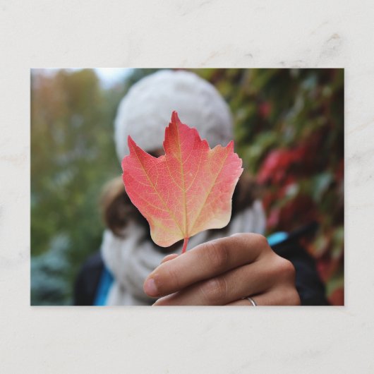 Carte postale Feuille automne (Devant)