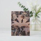 Carte postale Feuille automne (Debout devant)