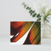 Carte Postale Feuille banane (Debout devant)