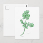 Carte Postale Feuille céleri (Devant / Derrière)