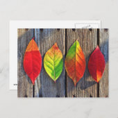 Carte Postale Feuille coloré (Devant / Derrière)
