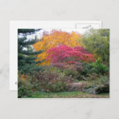 Carte Postale Feuille coloré (Devant / Derrière)