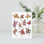 Carte postale Feuille dansante (Debout devant)