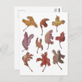 Carte postale Feuille dansante (Devant / Derrière)