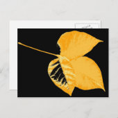 Carte Postale Feuille d'art 12 (Devant / Derrière)