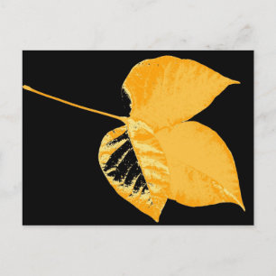 Carte Postale Feuille d'art 12