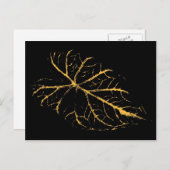 Carte Postale Feuille d'art 26 (Devant / Derrière)