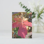 Carte Postale Feuille d'automne (Debout devant)