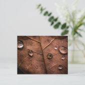 Carte Postale feuille d'automne humide 2 (Debout devant)