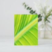 Carte Postale feuille de banane verte (Debout devant)