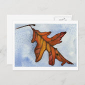 Carte postale Feuille de chêne rouge (Devant / Derrière)