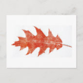 Carte postale "Feuille de chêne rouge #2" (Devant)